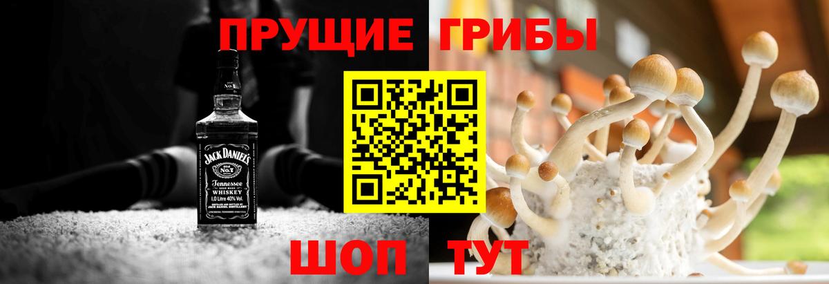 Галлюциногенные грибы Cubensis Гурьевск